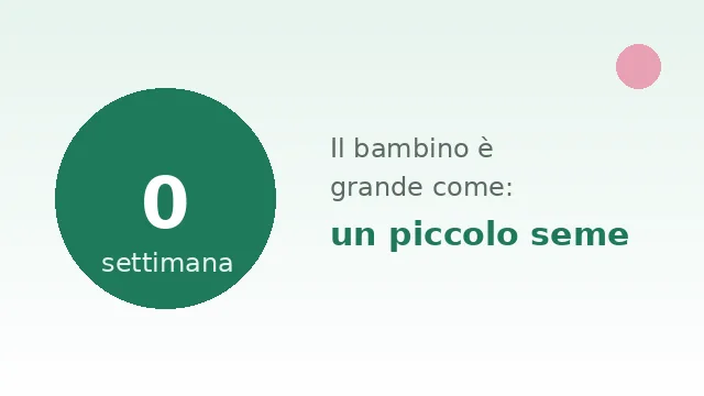 Settimana 29 di gravidanza: il bambino ha le dimensioni di zucca butternut